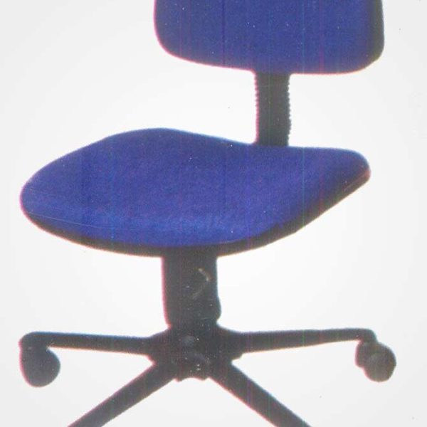 wl-19