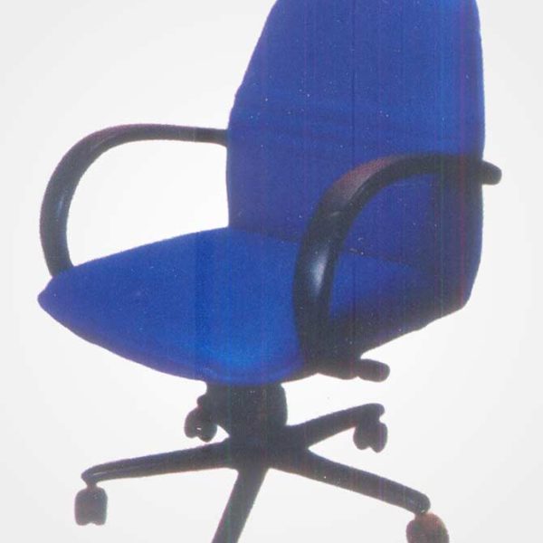 wl-33